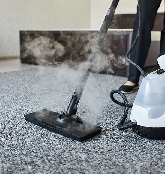 The Best Carpet and Upholstery Cleaners in Punta Gorda, FL